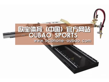 案例展示一