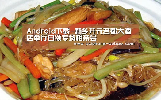 Android下载-新乡开元名都大酒店举行白领专场相亲会(图2) 欧宝体育APP