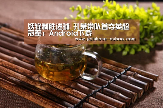 APP下载