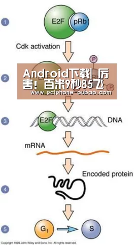 iOS下载