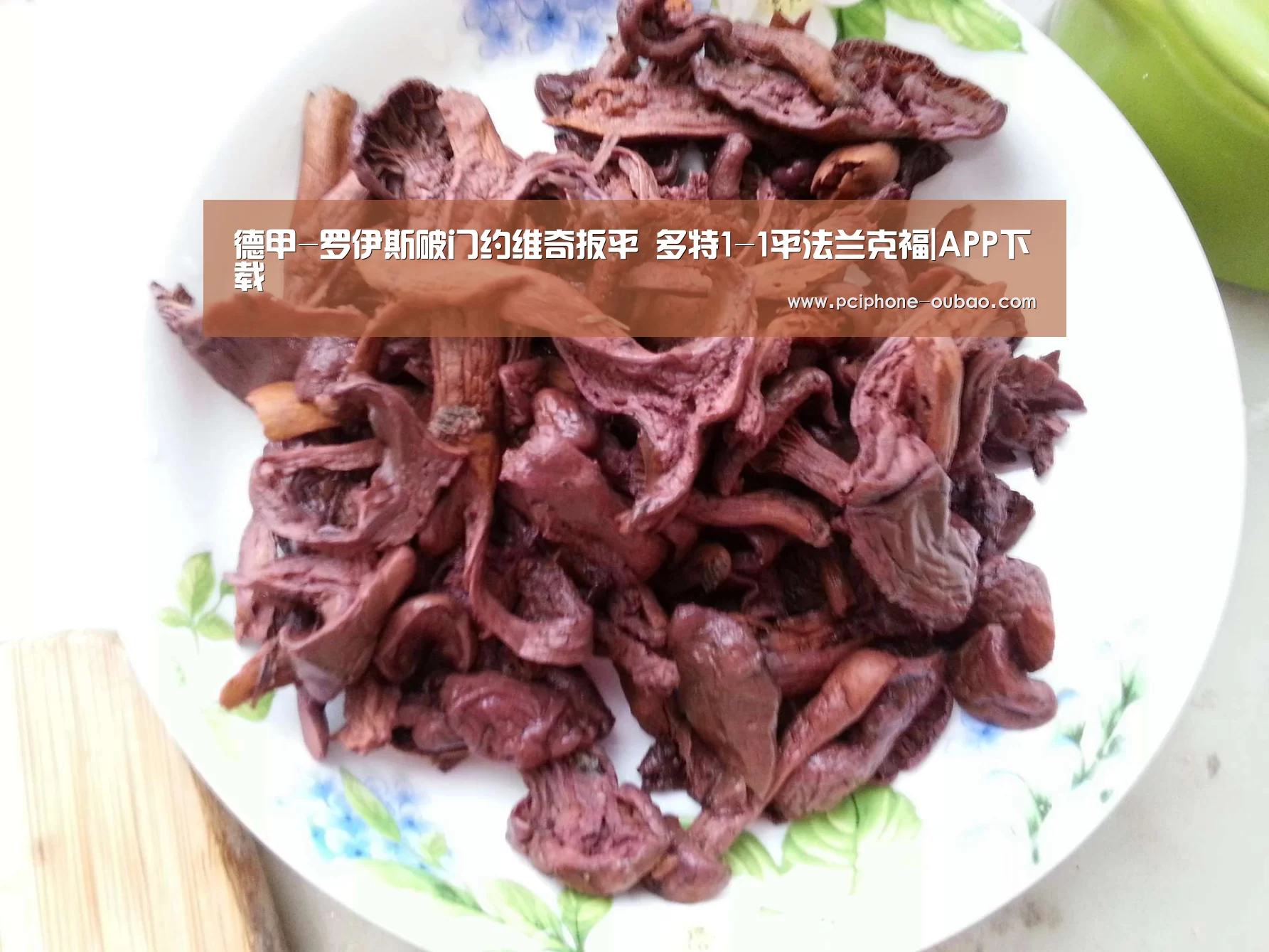 德甲-罗伊斯破门约维奇扳平 多特1-1平法兰克福|APP下载(图1) Android下载