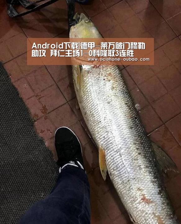 Android下载|德甲-莱万破门穆勒助攻 拜仁主场1-0科隆取3连胜(图4) APP下载