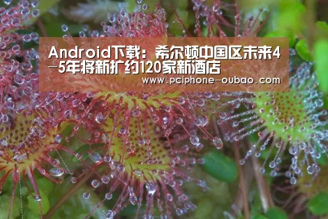 Android下载:希尔顿中国区未来4-5年将新扩约120家新酒店(图2) iOS下载